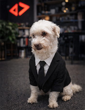 Pachon CMTeam Castle Media